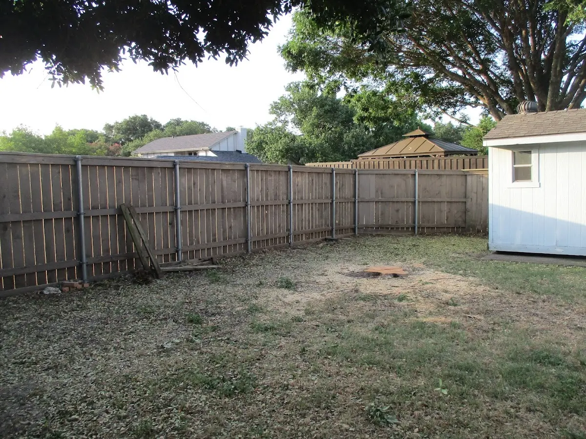 Cleared yard after professional tree removal in Frederick